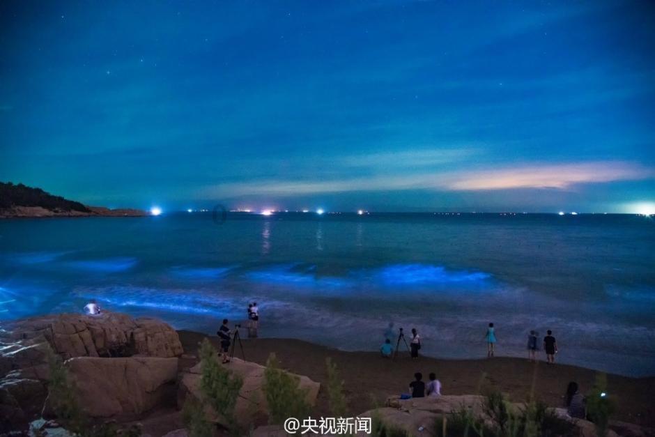小恐龙来找茬
